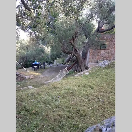 La Pajara Sul Mare * Marittima